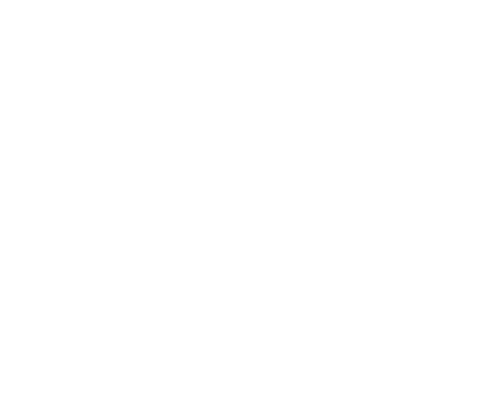 Boyce Lumber White Logo